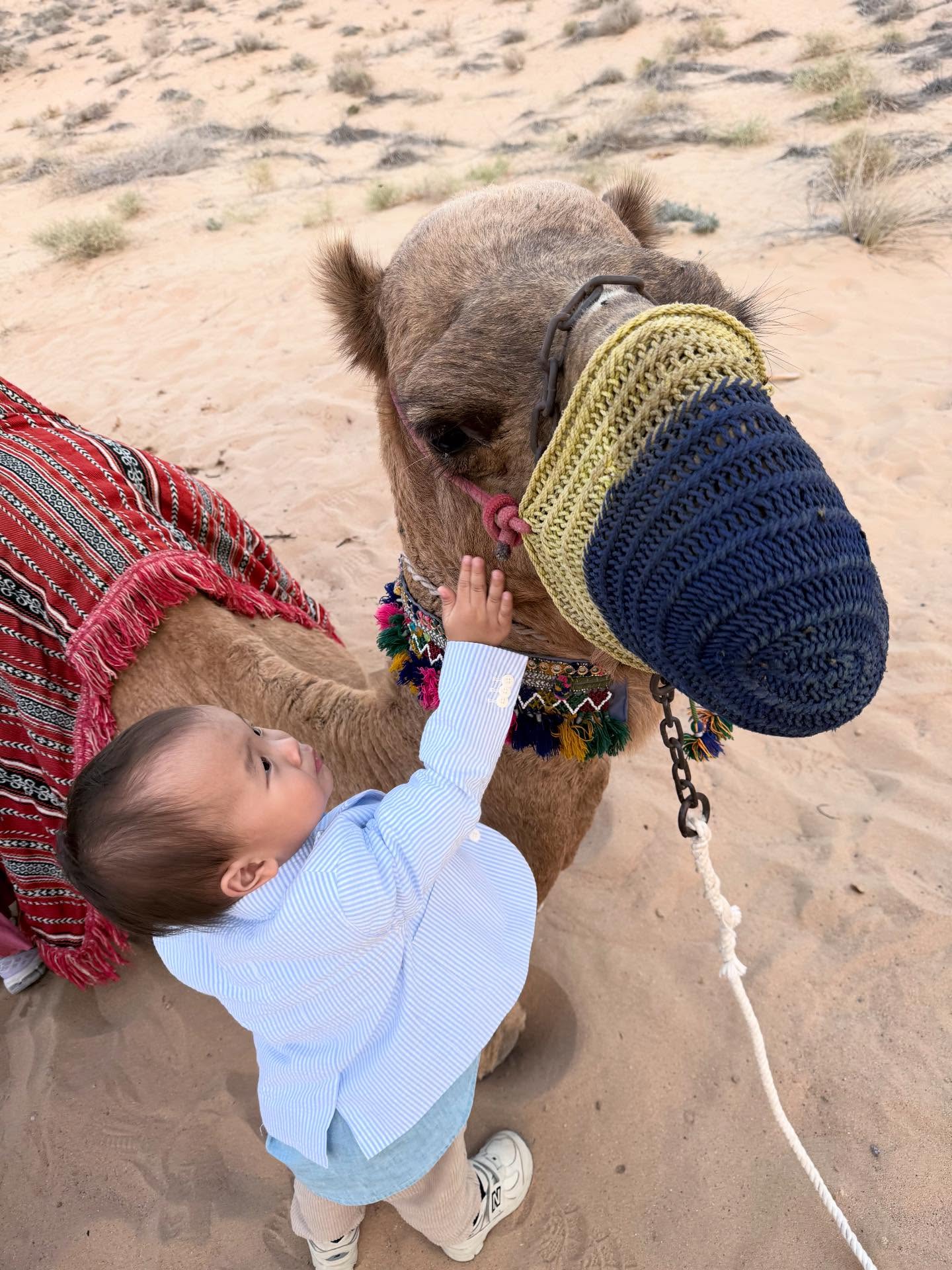 มิว - นิษฐา จิรยั่งยืน