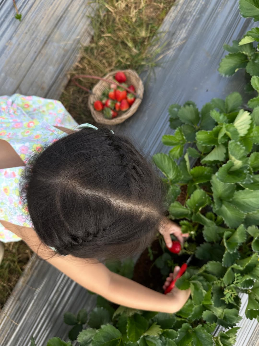 มิว - นิษฐา จิรยั่งยืน