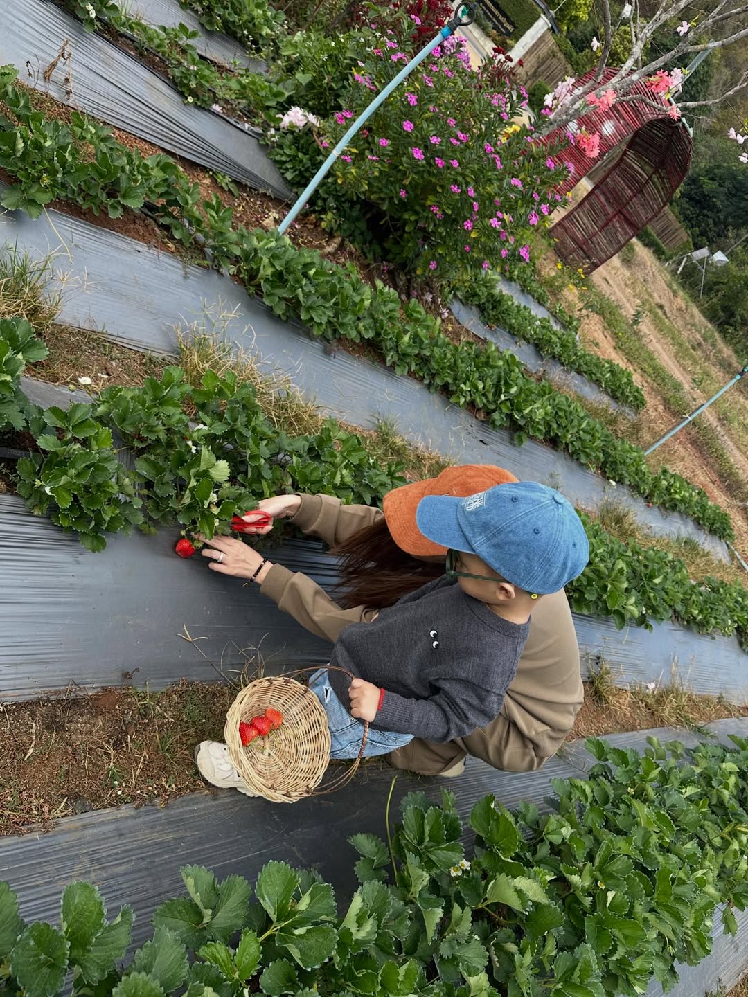 มิว - นิษฐา จิรยั่งยืน