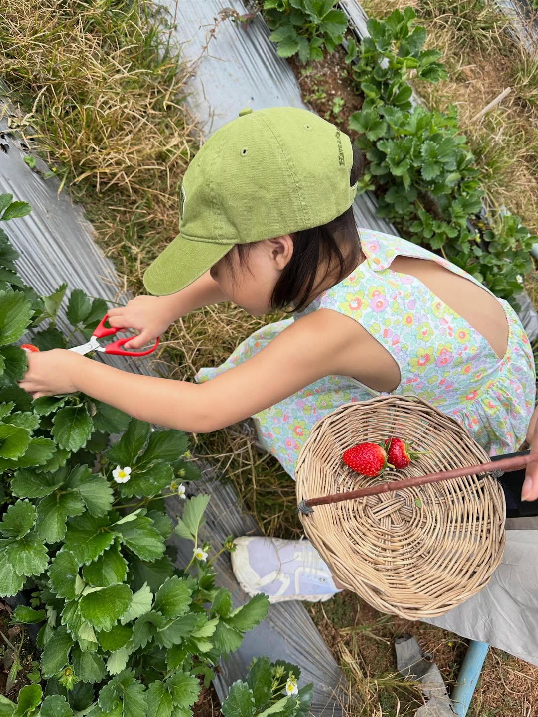 มิว - นิษฐา จิรยั่งยืน