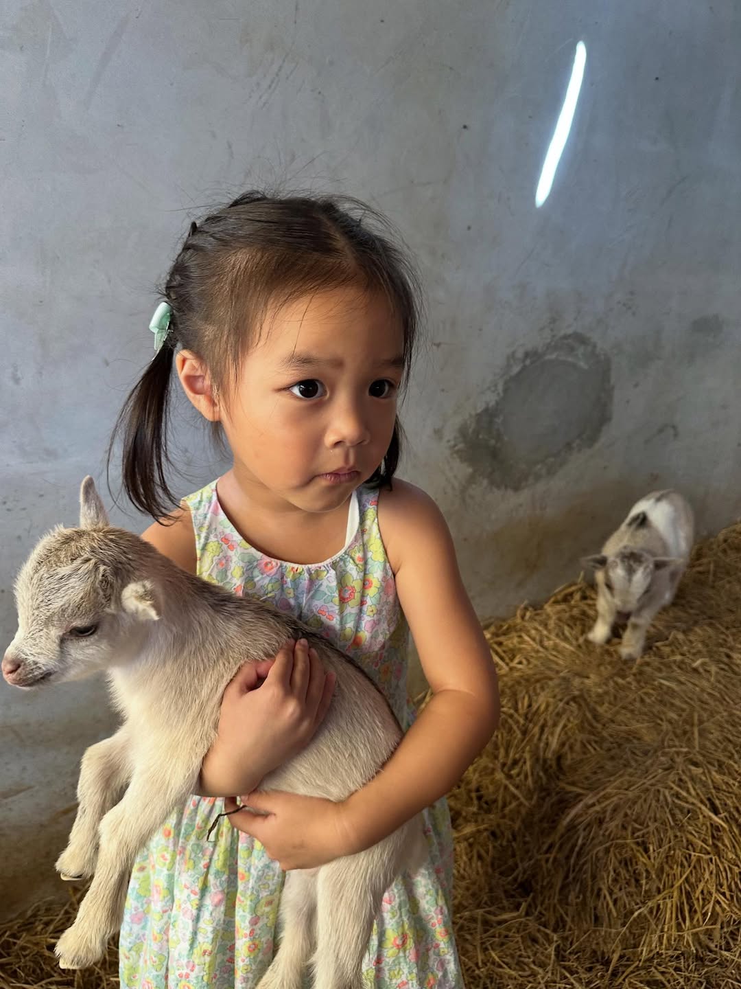 มิว - นิษฐา จิรยั่งยืน