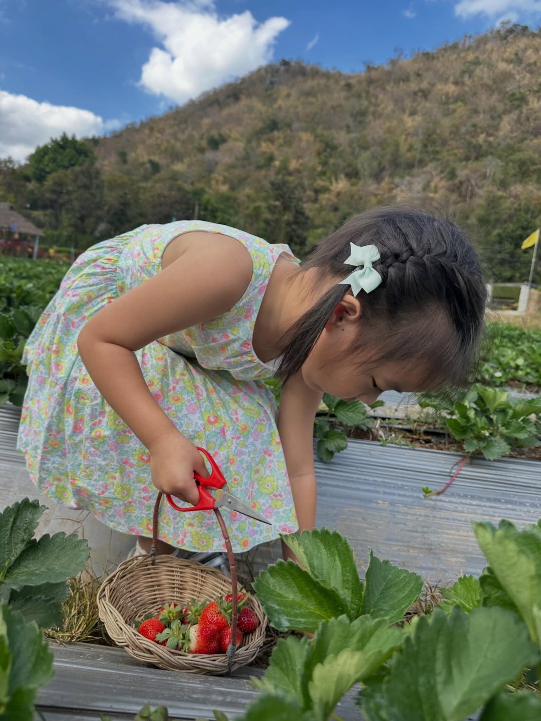 มิว - นิษฐา จิรยั่งยืน