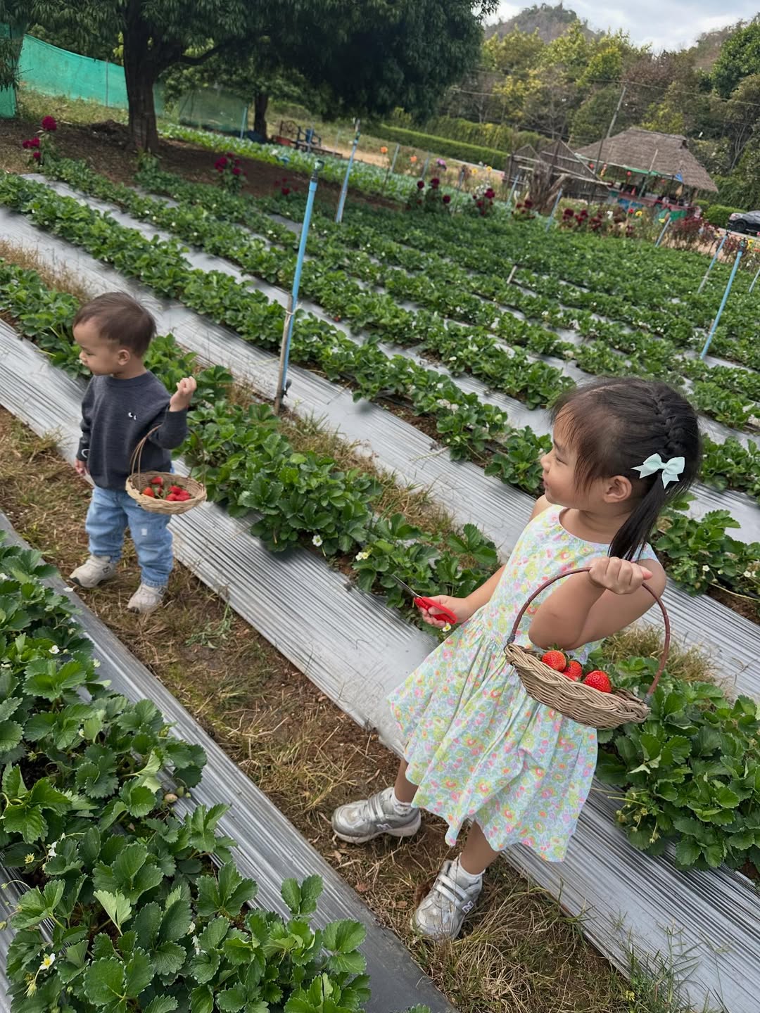 มิว - นิษฐา จิรยั่งยืน