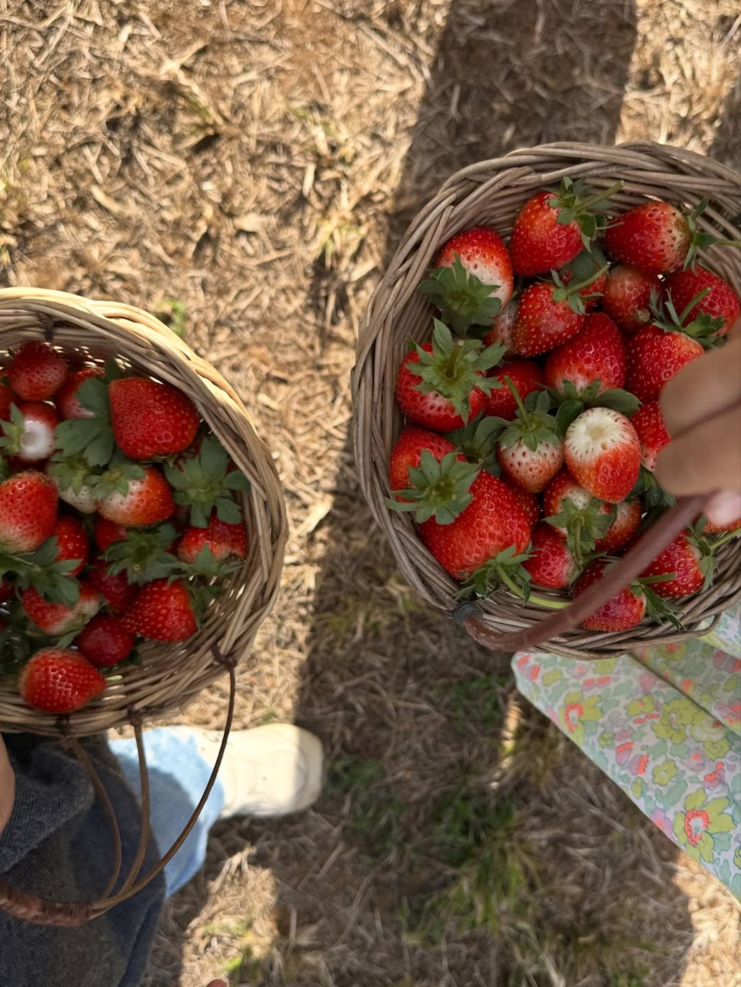 มิว - นิษฐา จิรยั่งยืน