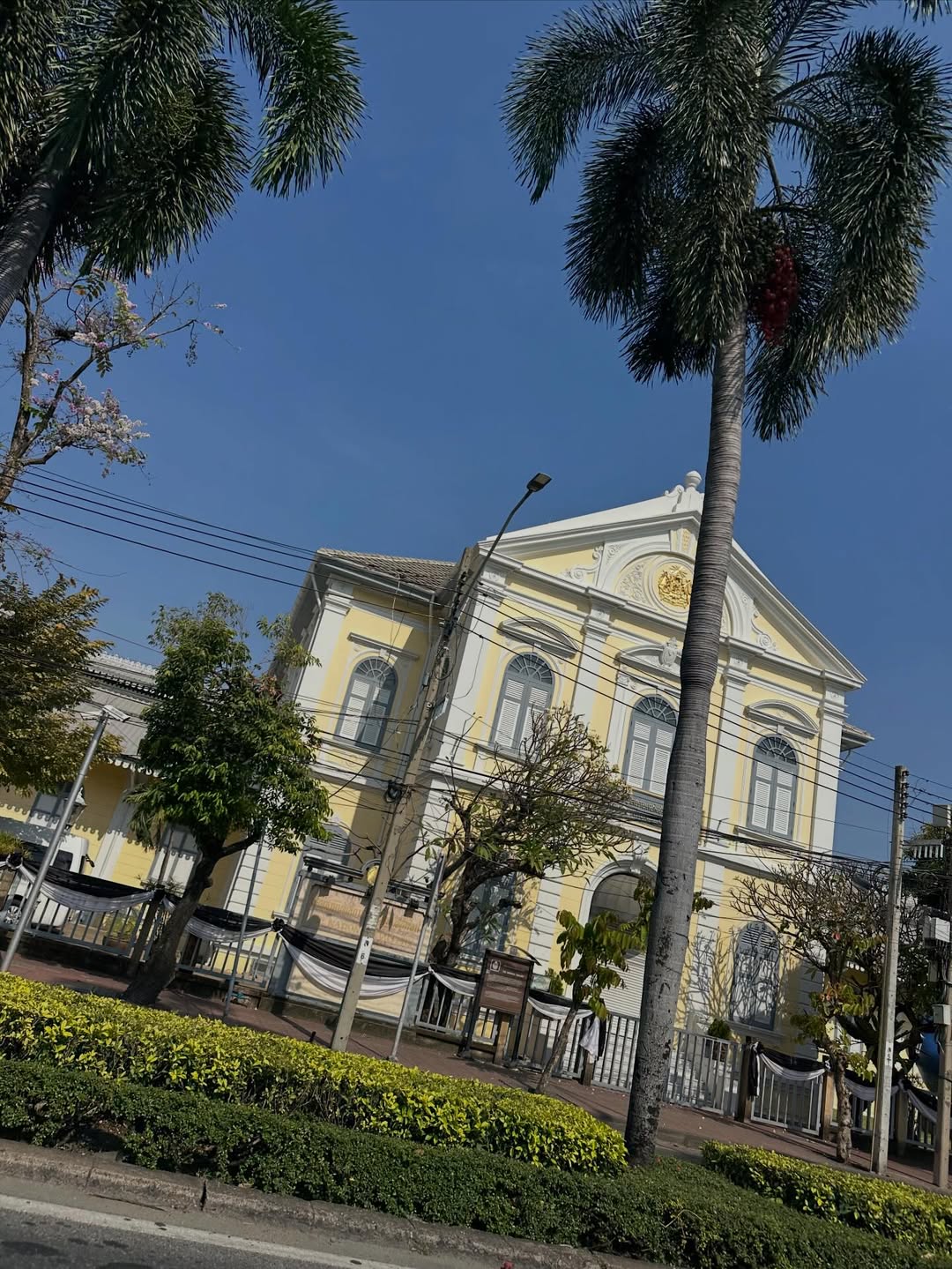 มิว - นิษฐา จิรยั่งยืน