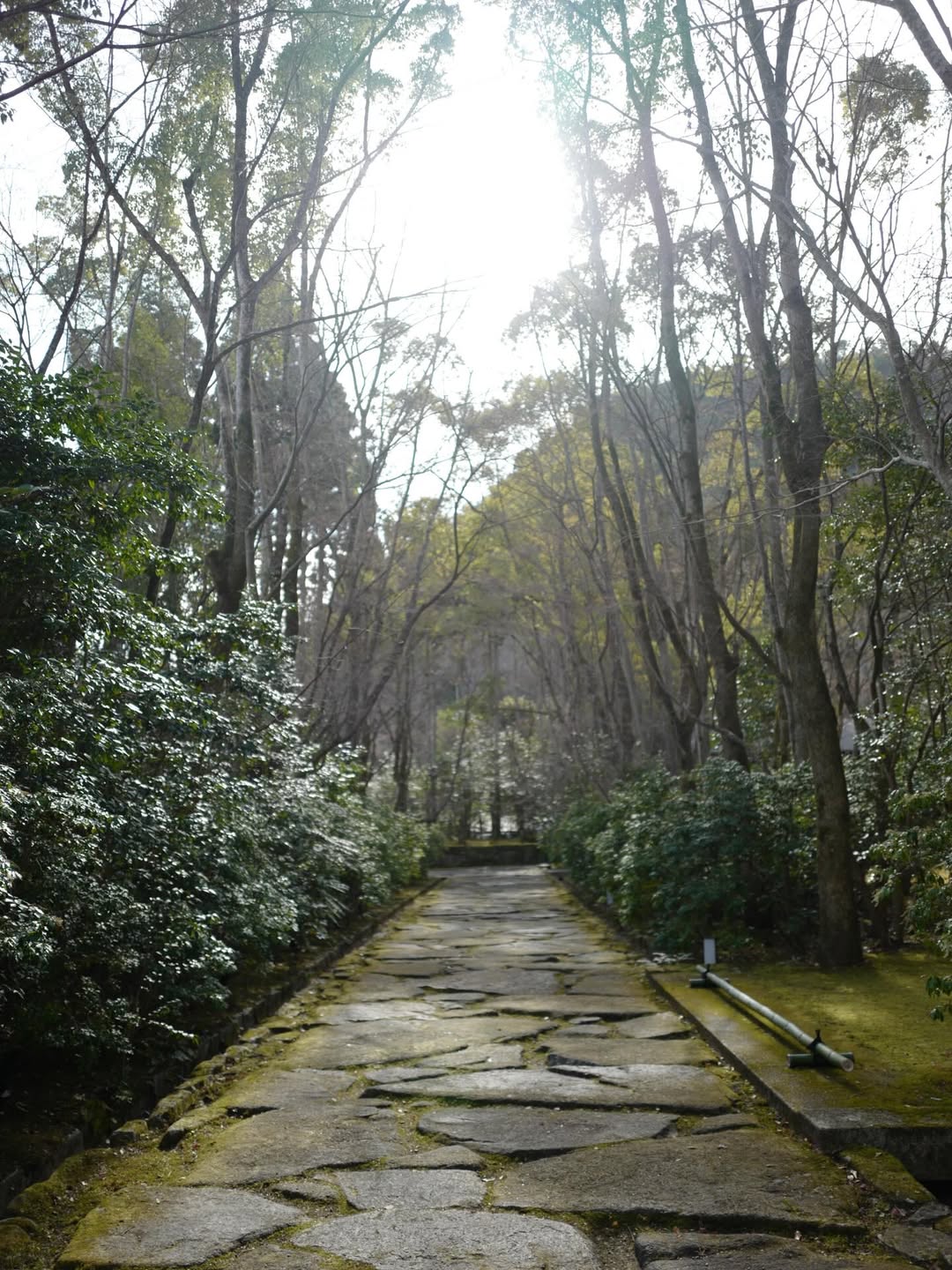 มิว - นิษฐา จิรยั่งยืน