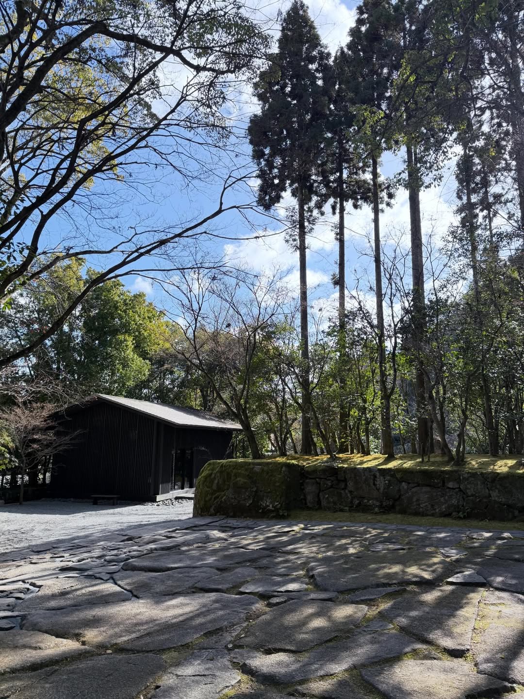 มิว - นิษฐา จิรยั่งยืน