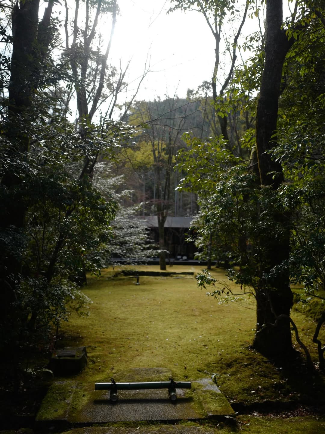 มิว - นิษฐา จิรยั่งยืน