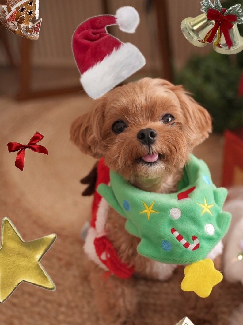 ออม - สุชาร์ มานะยิ่ง