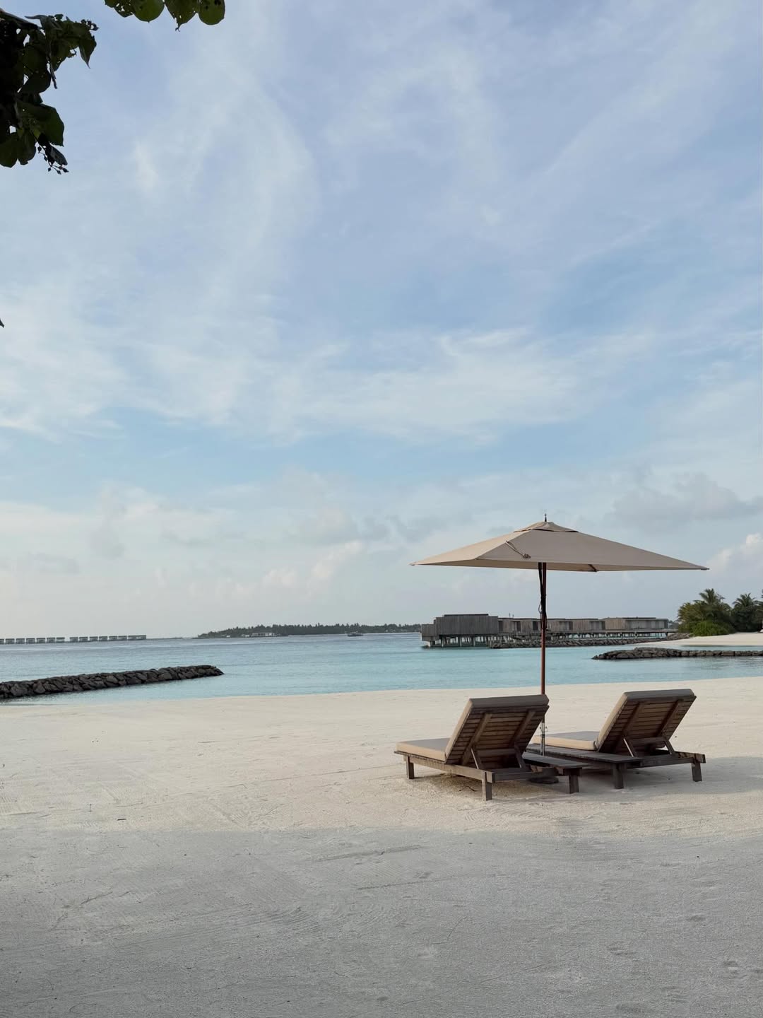 ออม - สุชาร์ มานะยิ่ง