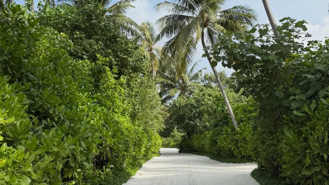 ออม - สุชาร์ มานะยิ่ง