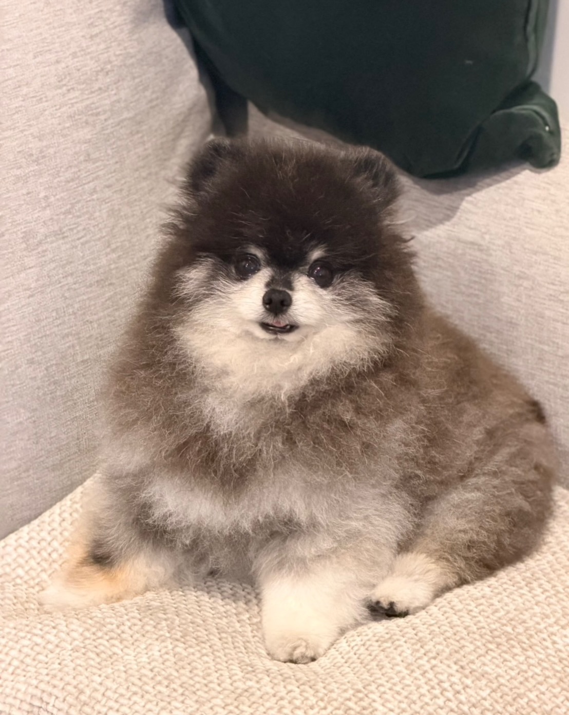 ติ๊นา - คริสติน่า อากีล่าร์