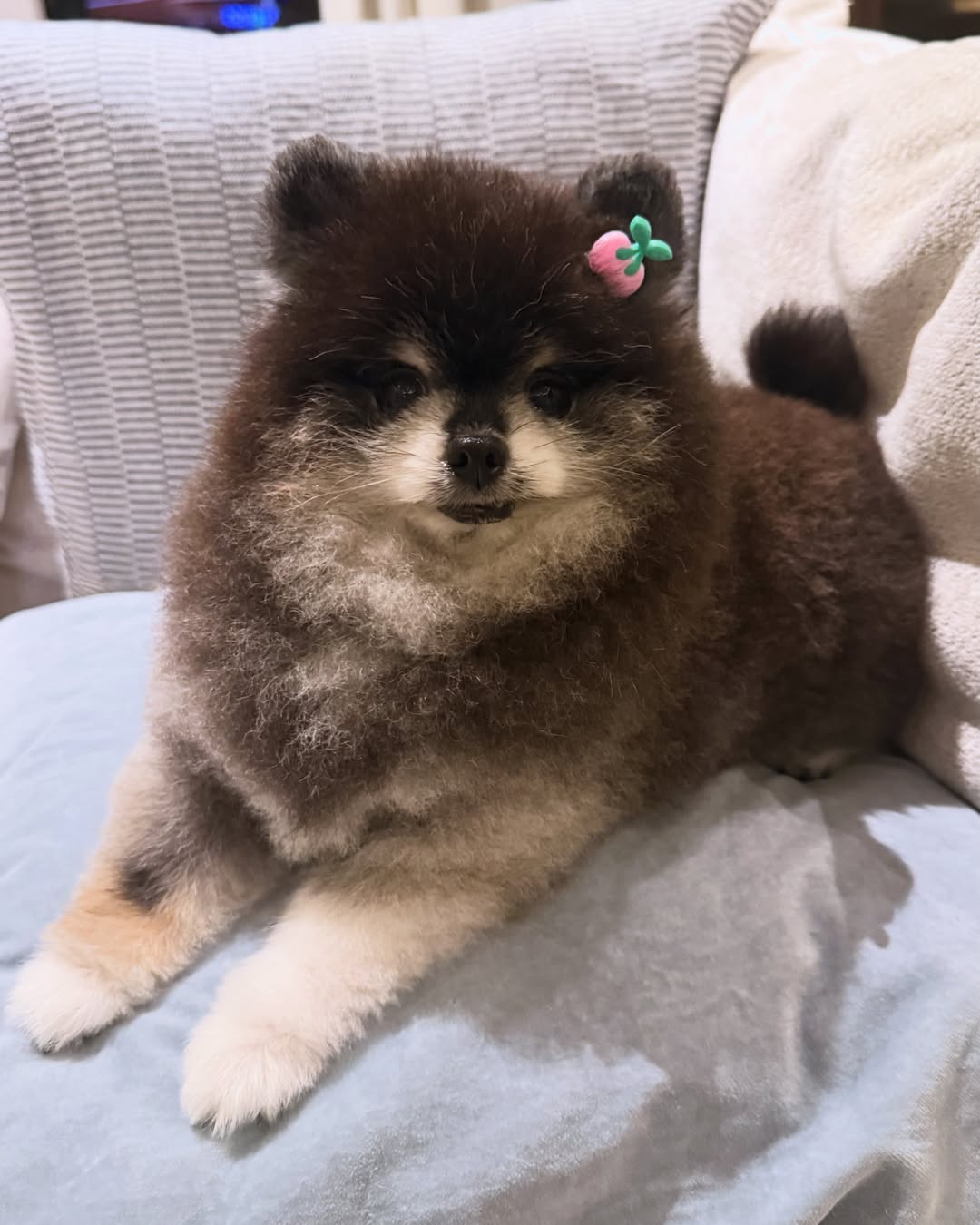 ติ๊นา - คริสติน่า อากีล่าร์