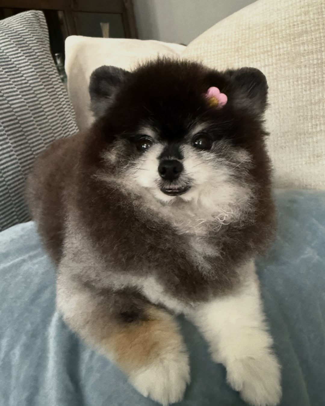 ติ๊นา - คริสติน่า อากีล่าร์
