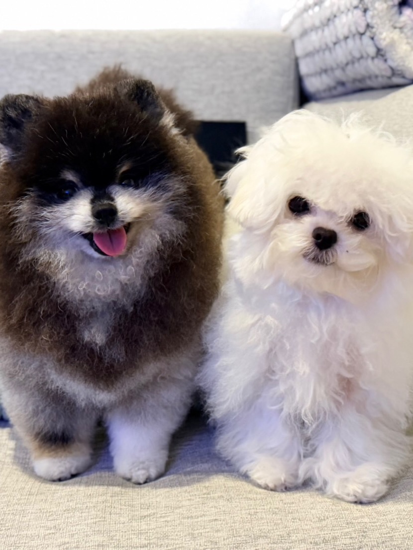 ติ๊นา - คริสติน่า อากีล่าร์