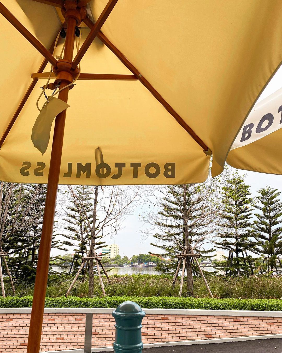 นิว - ชัญญาภัค นุ่มประสพ