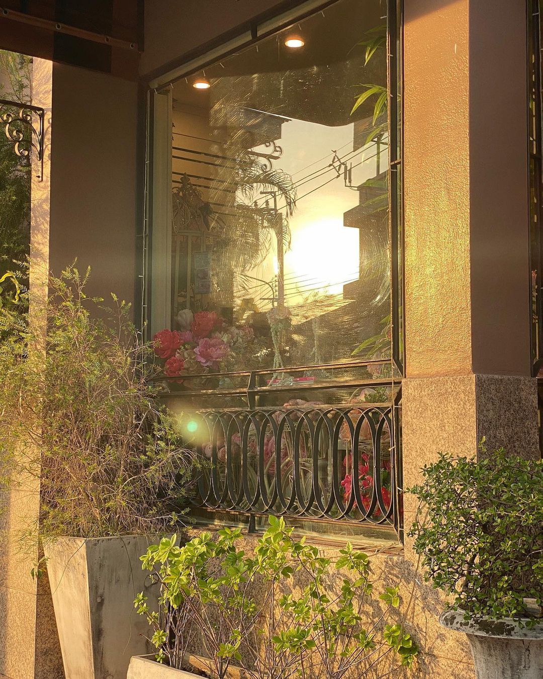 นิว - ชัญญาภัค นุ่มประสพ