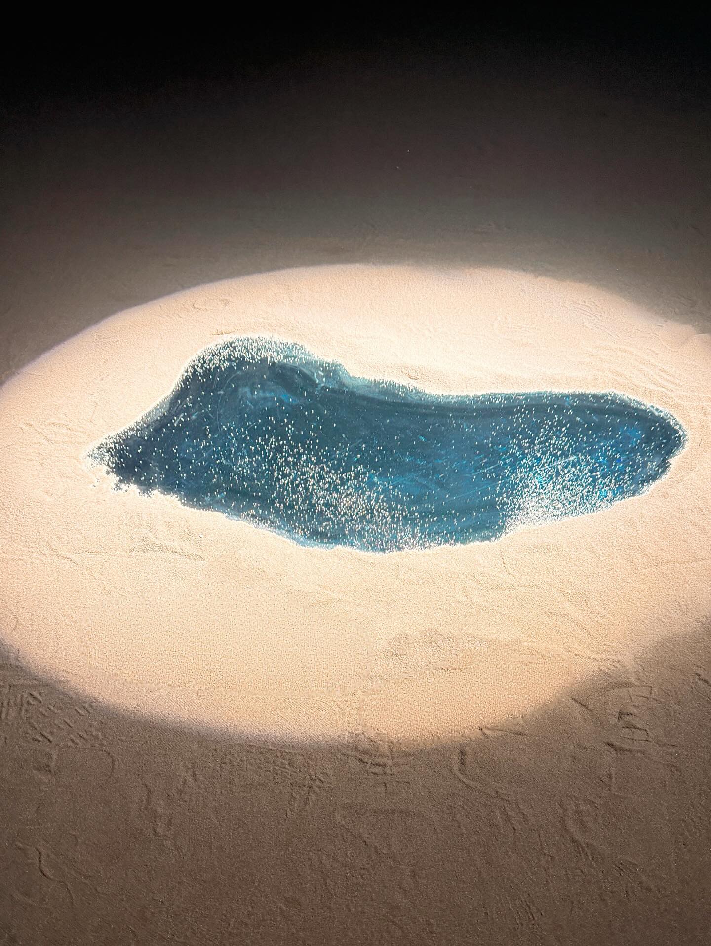 พีพี - ปุญญ์ปรีดี คุ้มพร้อม รอดสวาสดิ์