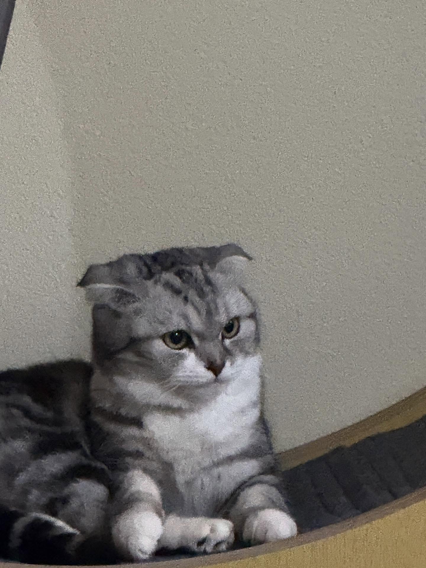 พีพี - ปุญญ์ปรีดี คุ้มพร้อม รอดสวาสดิ์