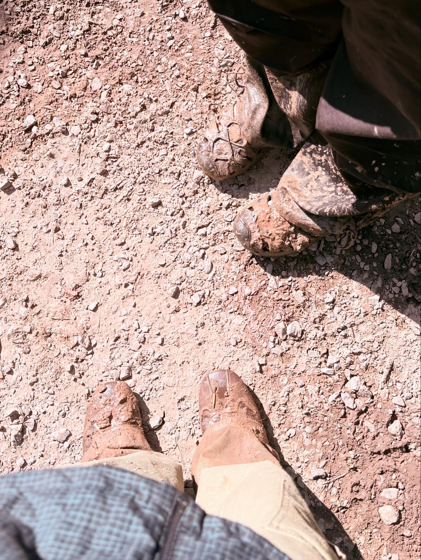 พีพี - ปุญญ์ปรีดี คุ้มพร้อม รอดสวาสดิ์