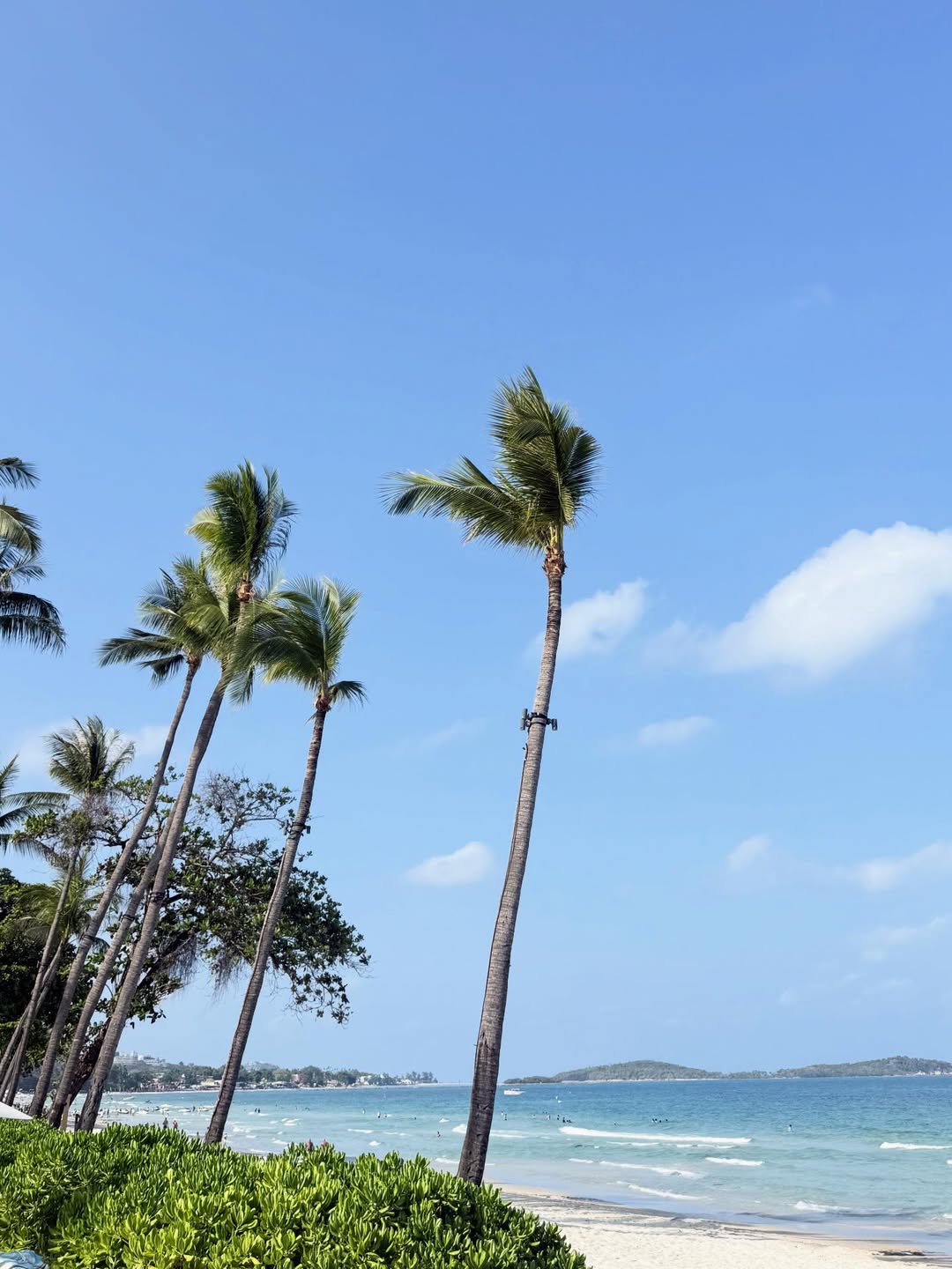 พีพี - ปุญญ์ปรีดี คุ้มพร้อม รอดสวาสดิ์