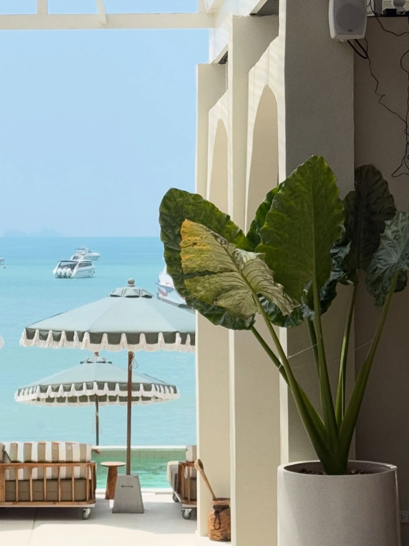 พีพี - ปุญญ์ปรีดี คุ้มพร้อม รอดสวาสดิ์