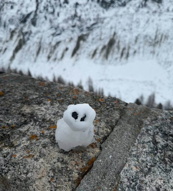 เติร์ด - ลภัส งามเชวง