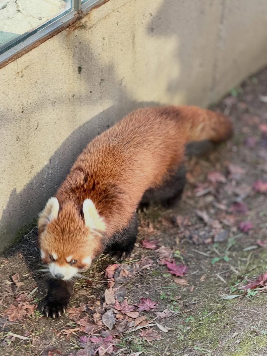 เอ๋ - พรทิพย์ สกิดใจ