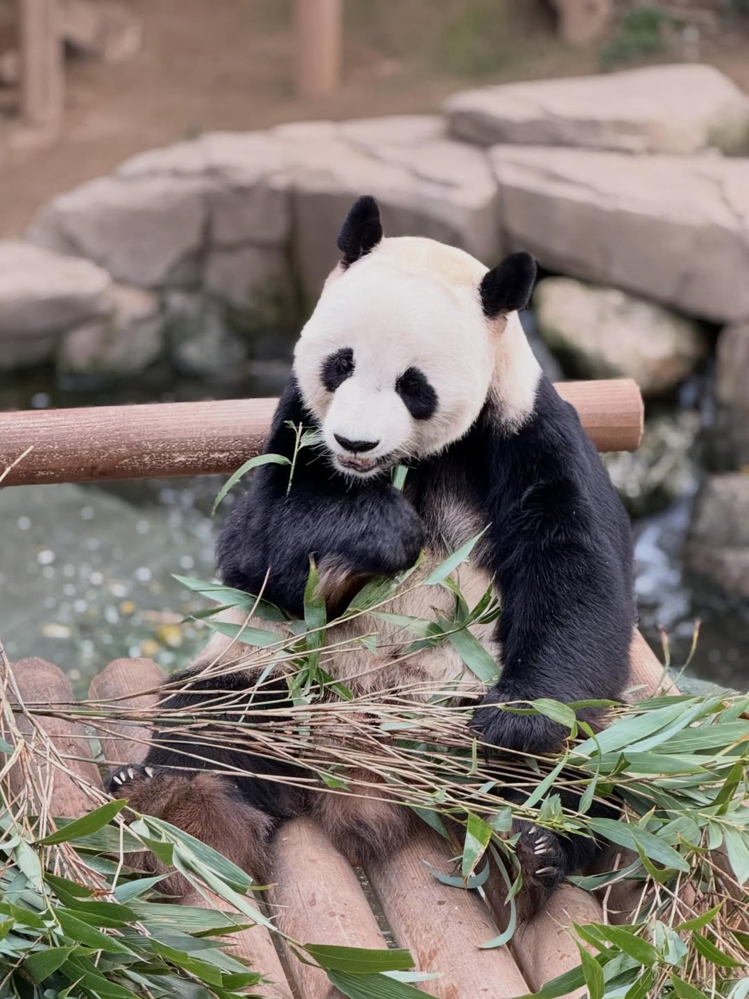 เอ๋ - พรทิพย์ สกิดใจ