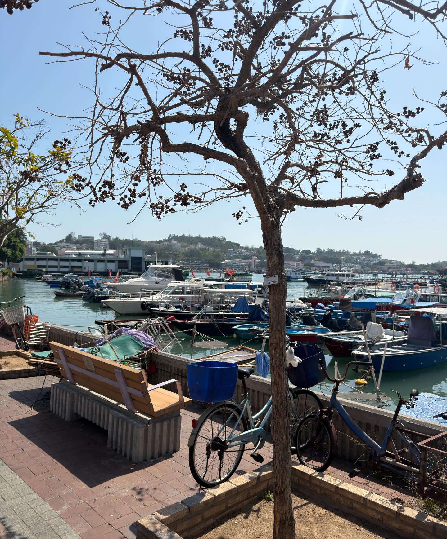 เอ๋ - พรทิพย์ สกิดใจ