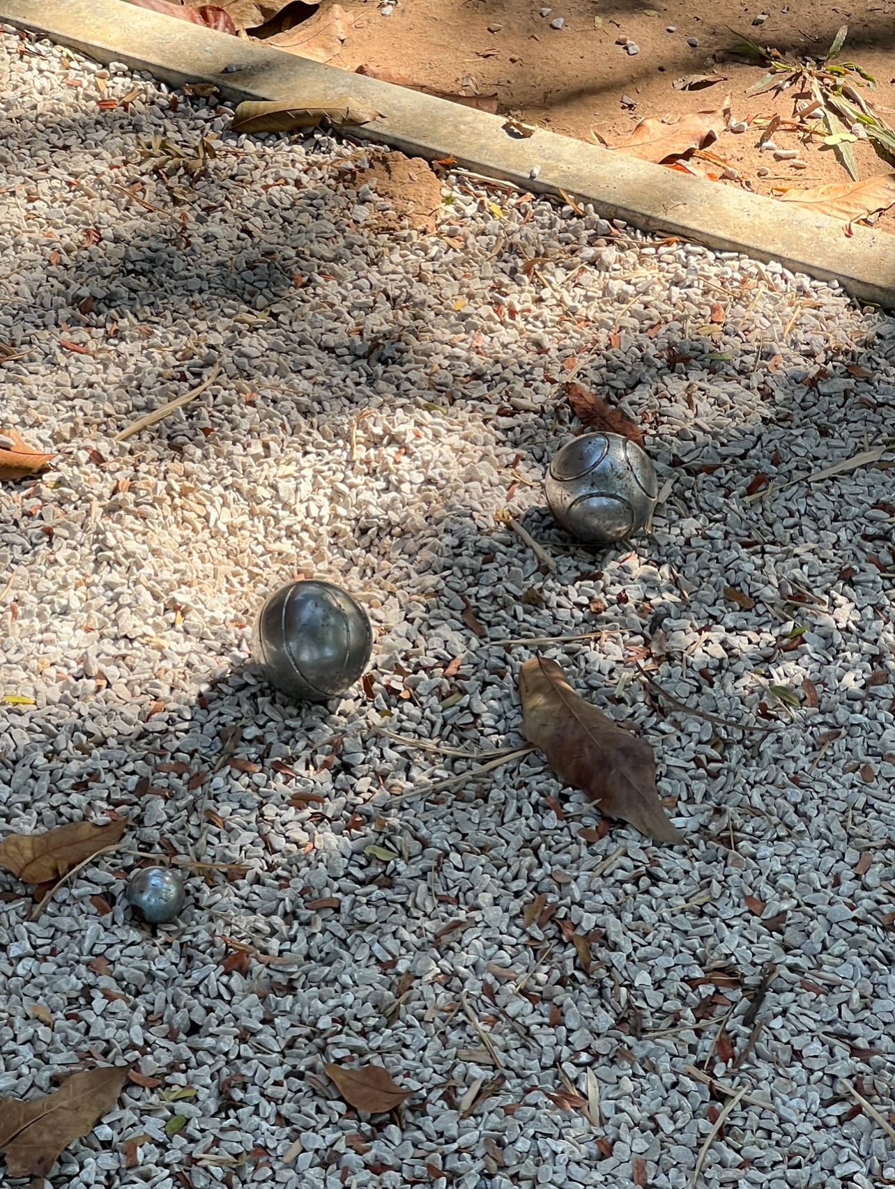 เลออน เซ็ค