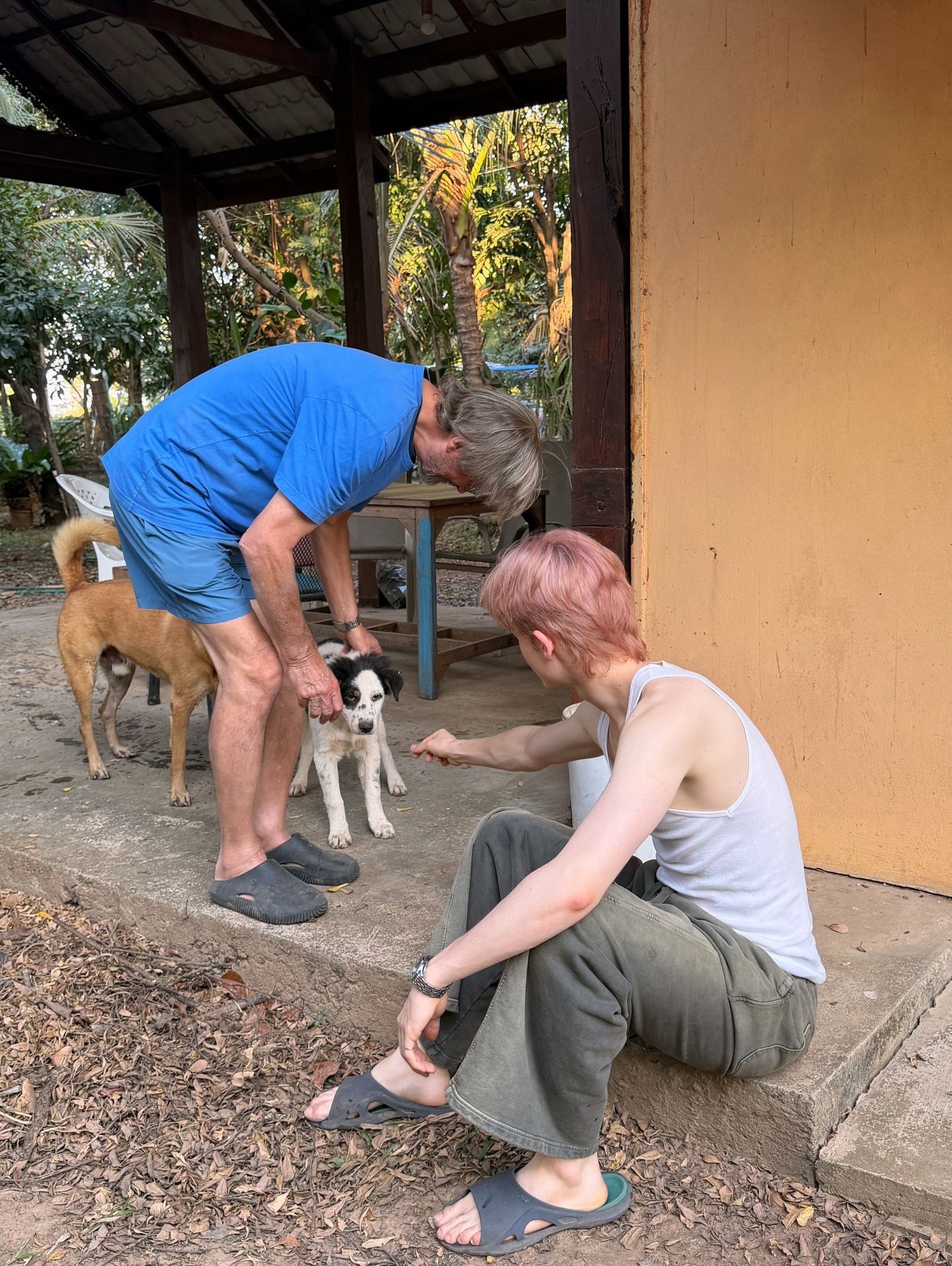 เลออน เซ็ค