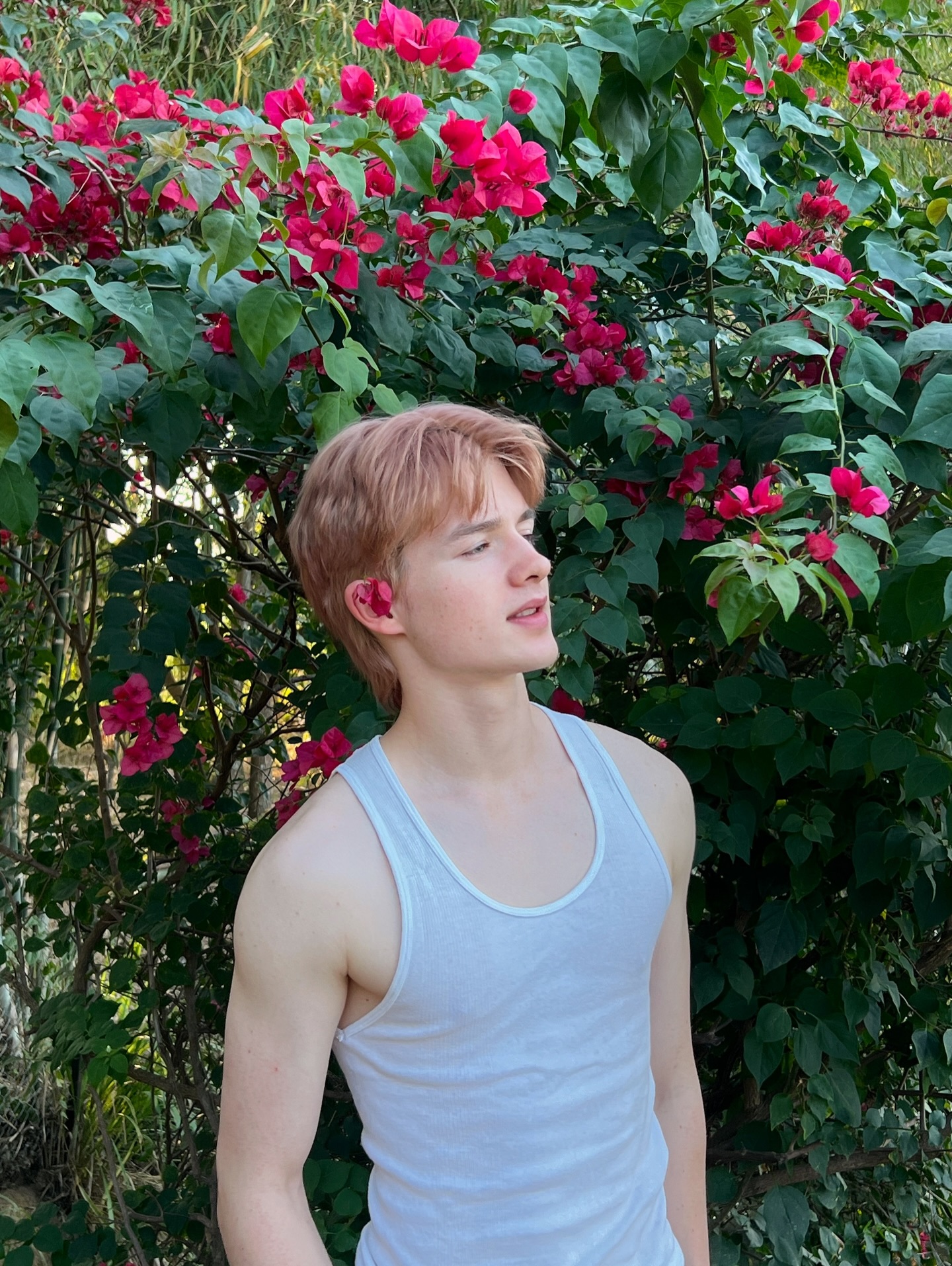 เลออน เซ็ค