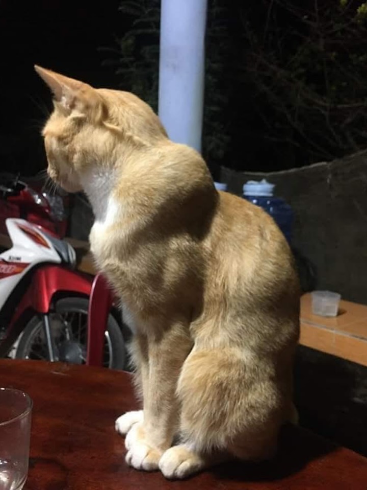 เลออน เซ็ค