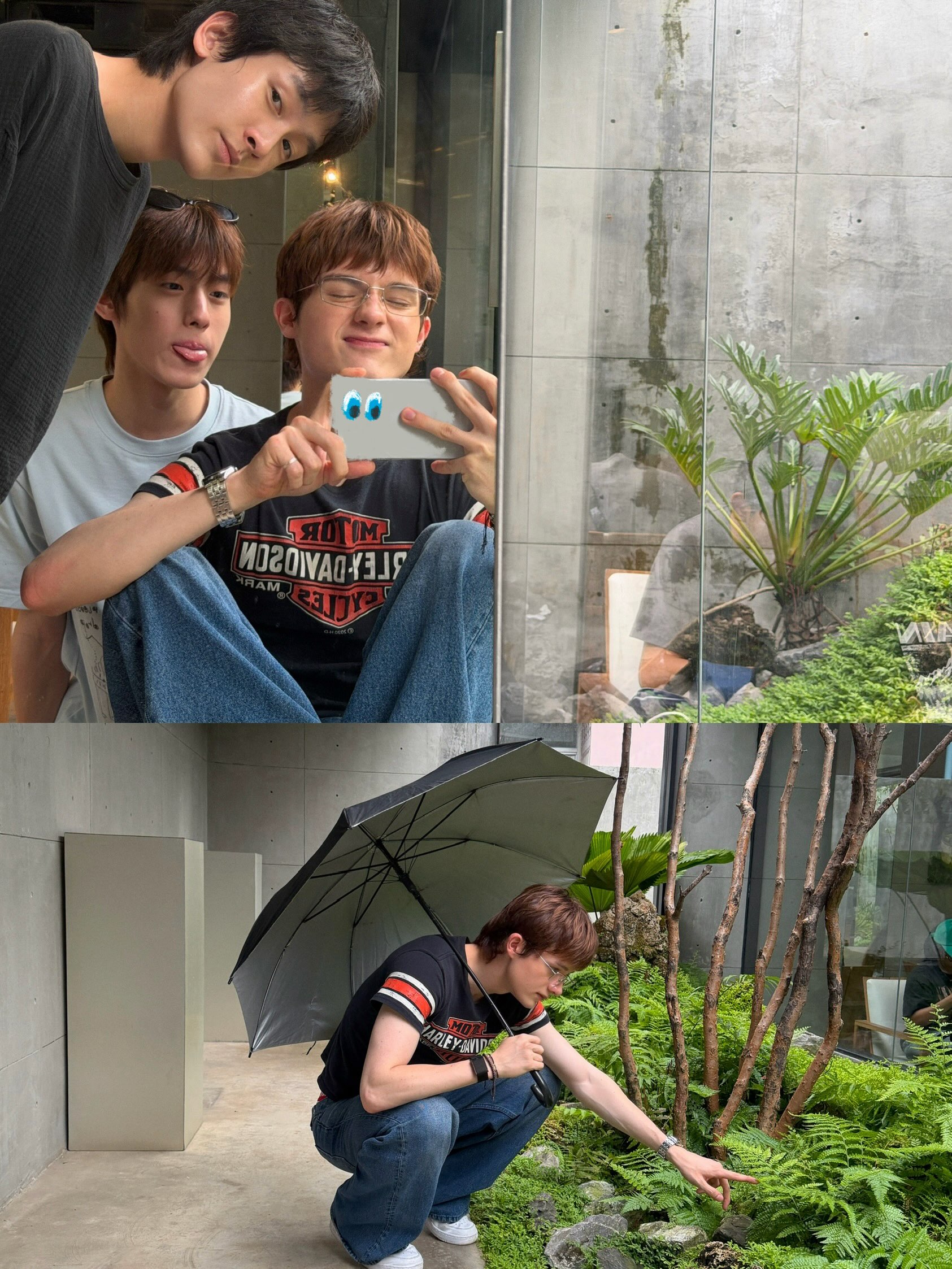 เลออน เซ็ค