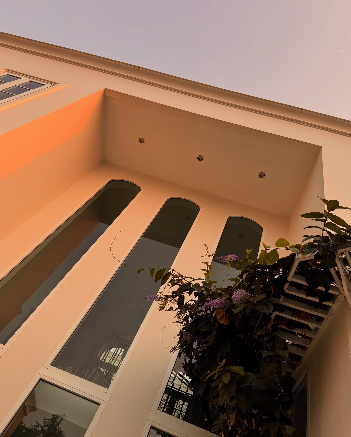 คิมมี่ - คิมเบอร์ลี่ แอน โวลเทมัส