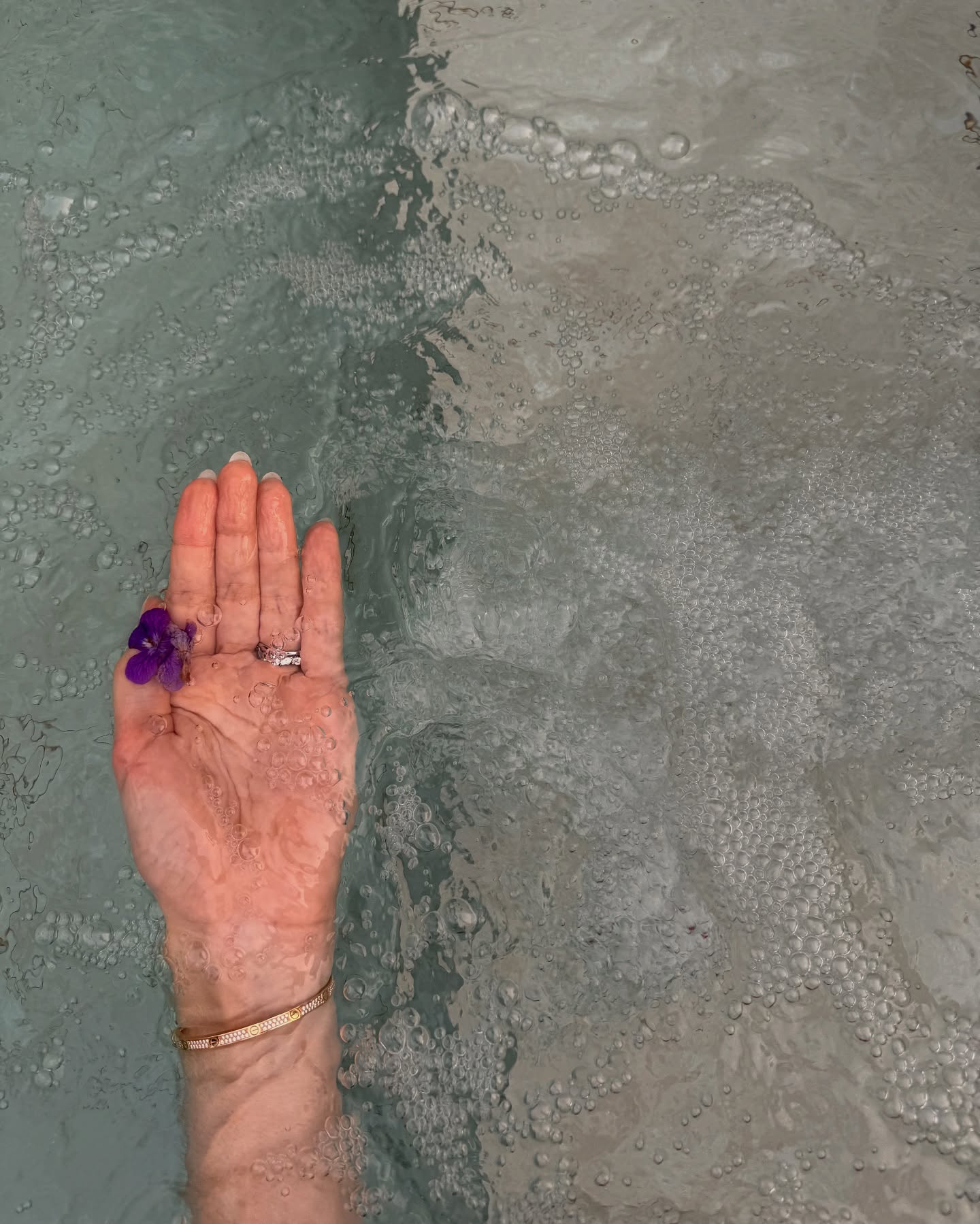 คิมมี่ - คิมเบอร์ลี่ แอน โวลเทมัส