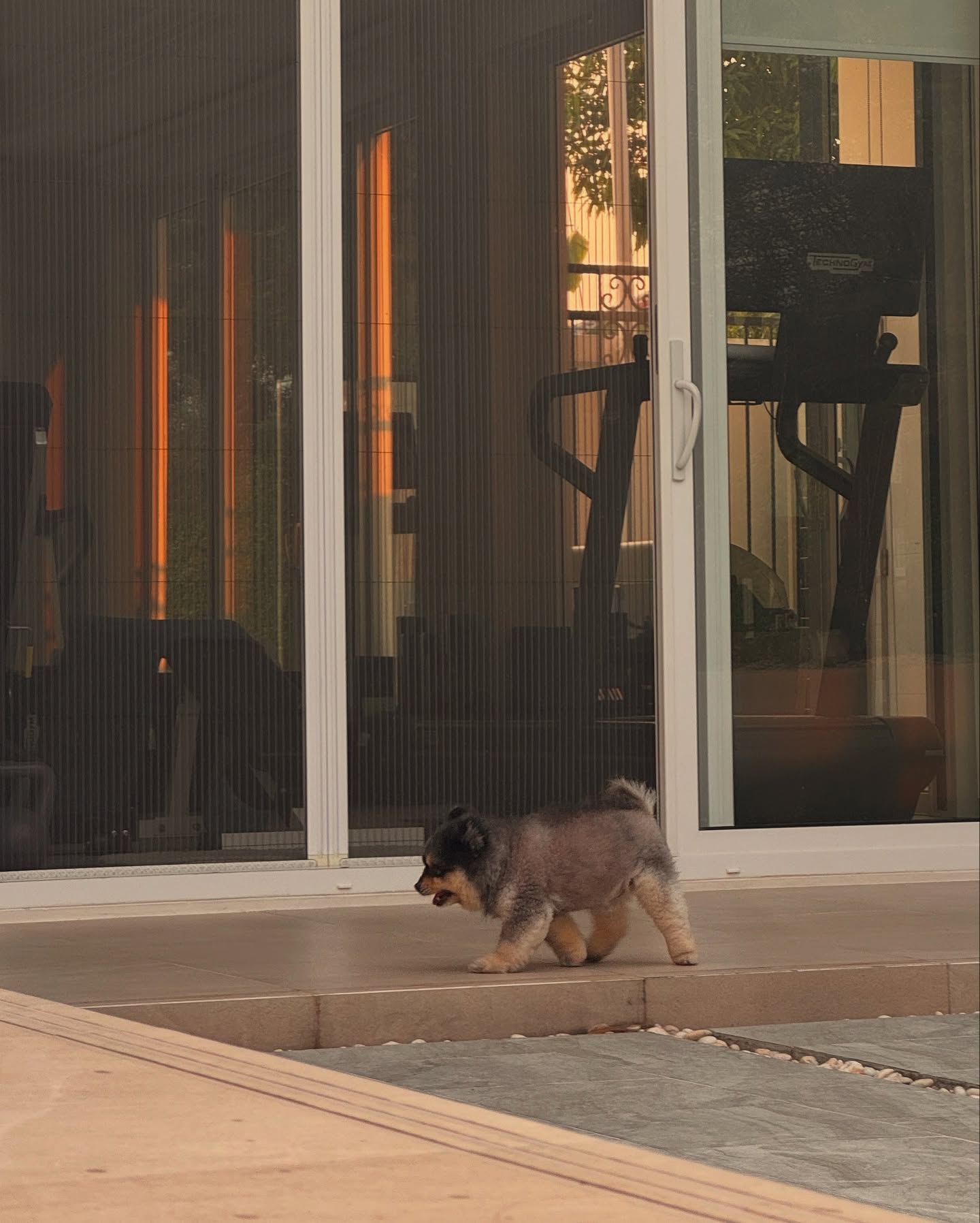 คิมมี่ - คิมเบอร์ลี่ แอน โวลเทมัส