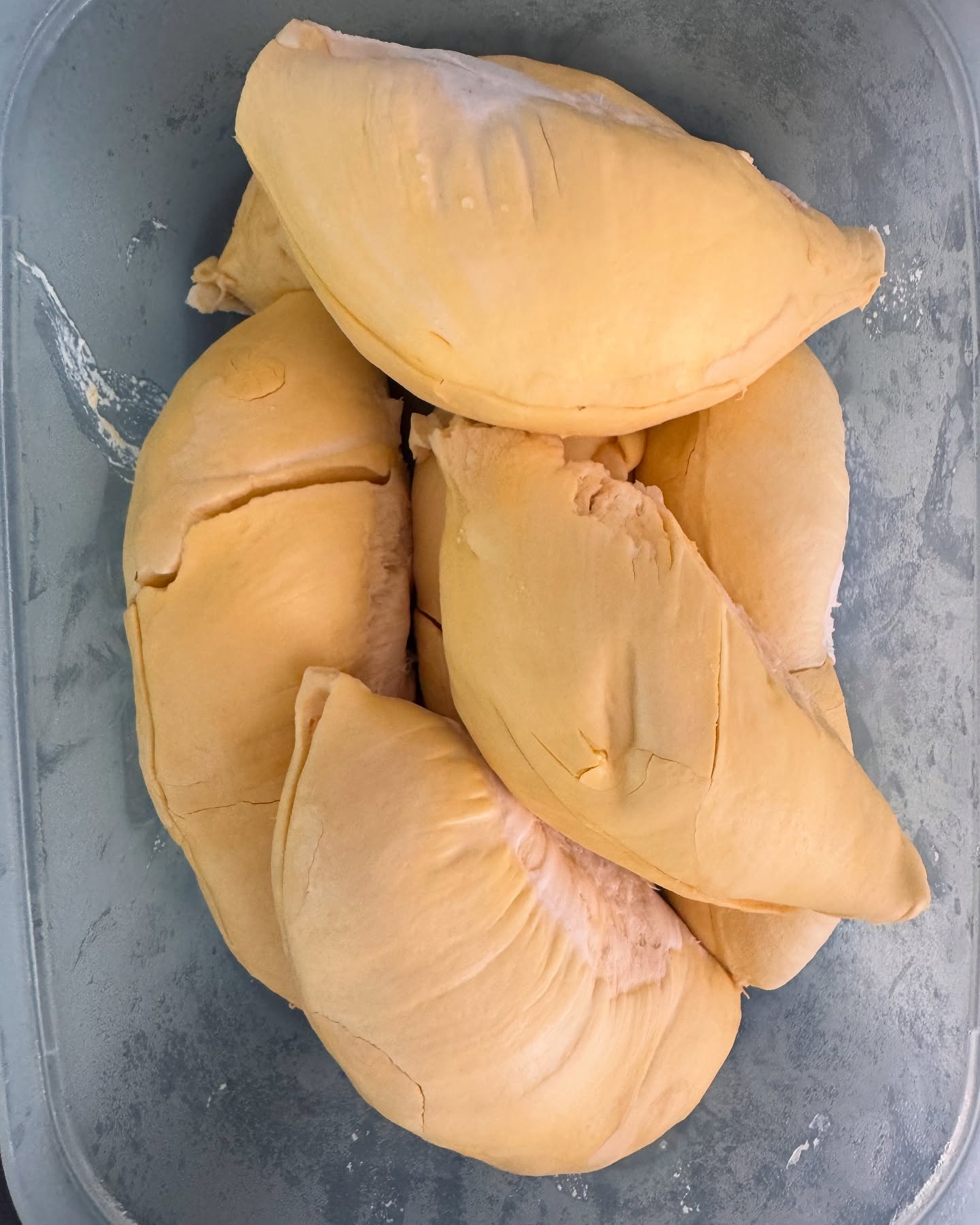 คิมมี่ - คิมเบอร์ลี่ แอน โวลเทมัส