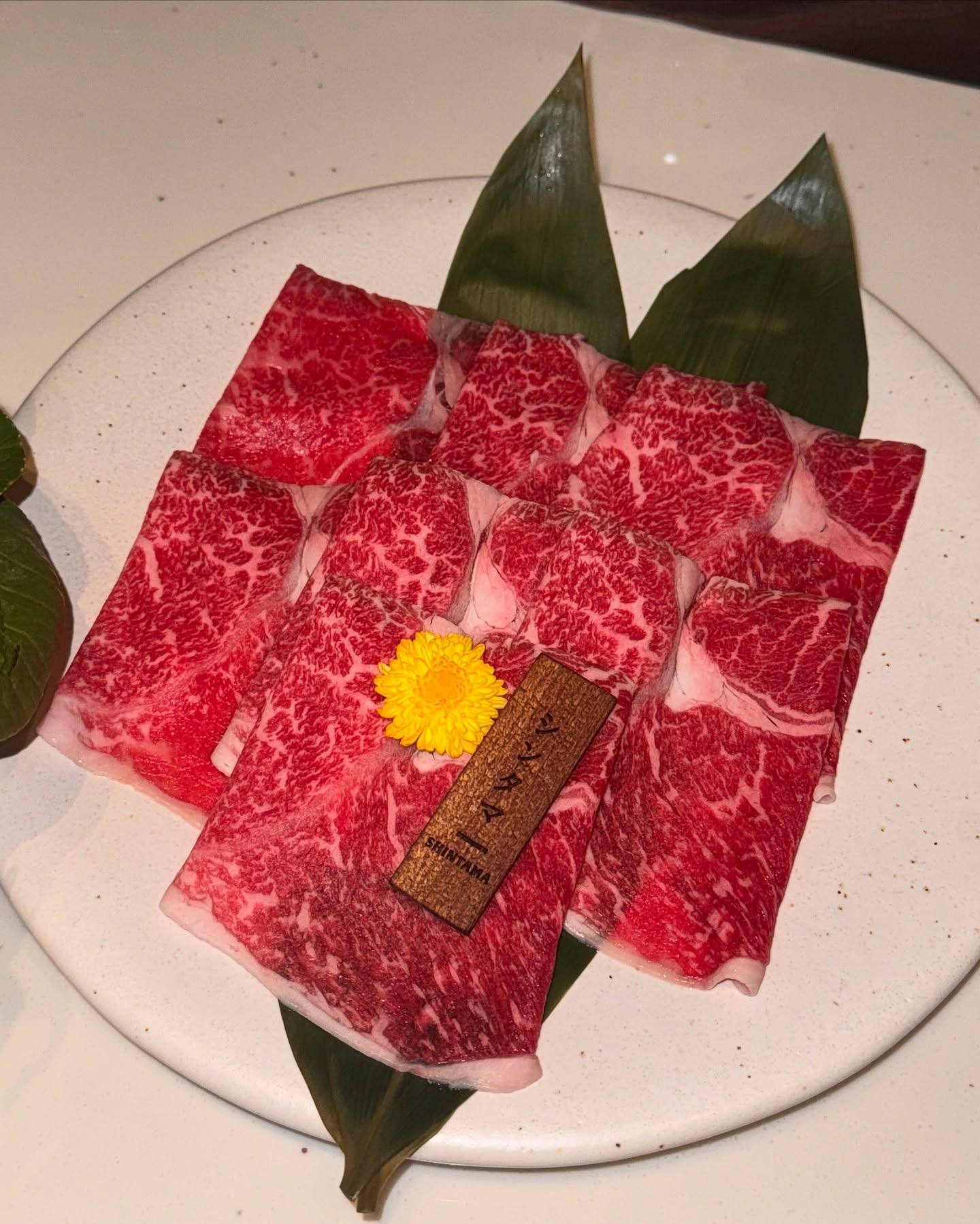 คิมมี่ - คิมเบอร์ลี่ แอน โวลเทมัส