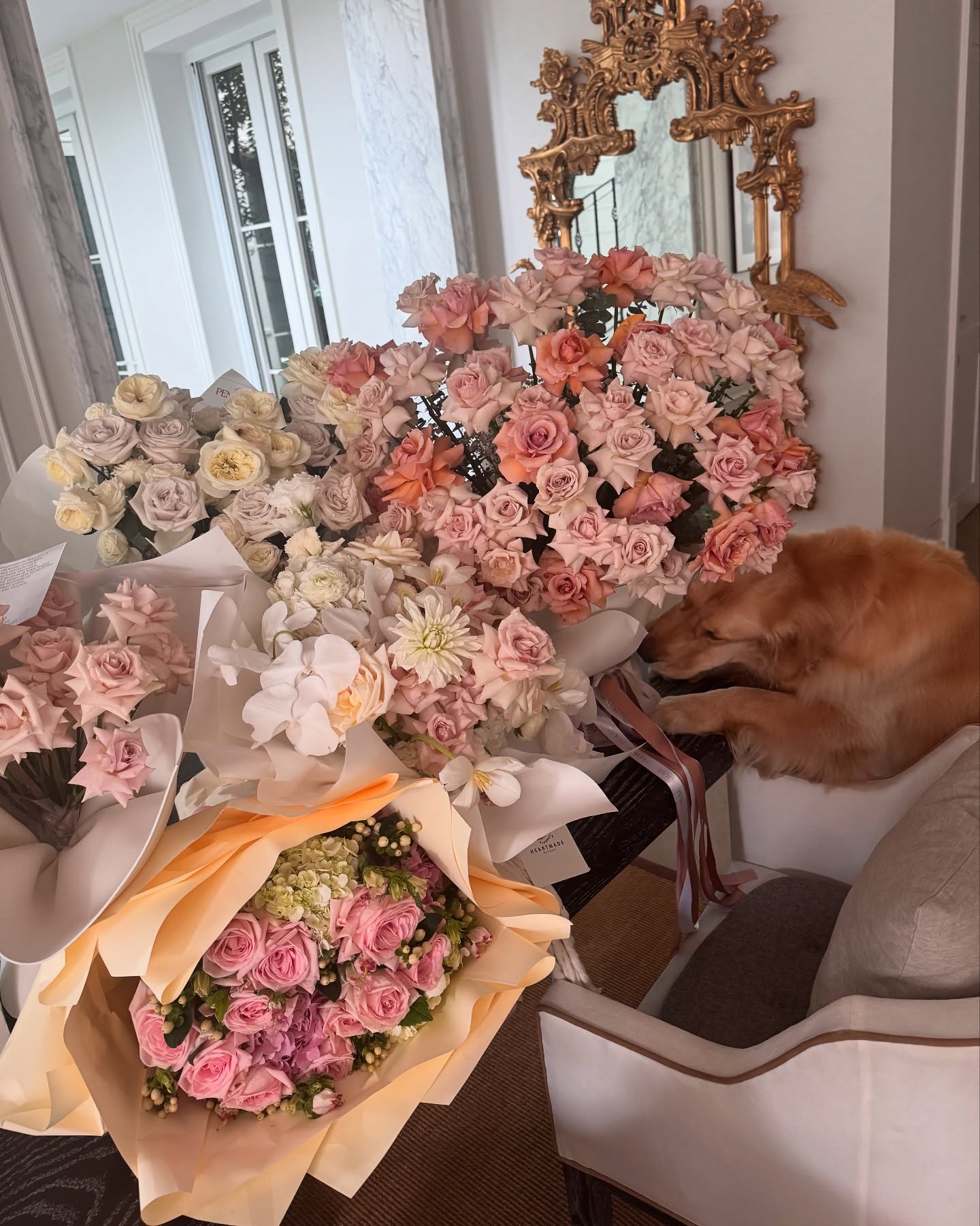 คิมมี่ - คิมเบอร์ลี่ แอน โวลเทมัส