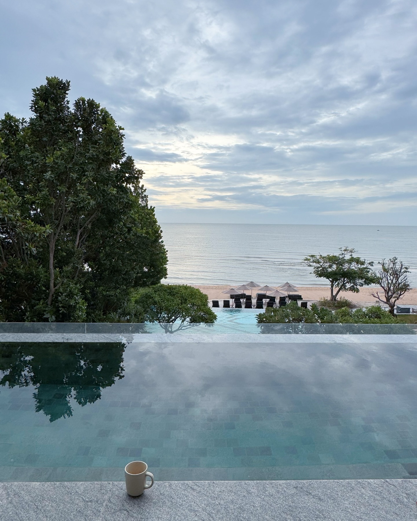 คิมมี่ - คิมเบอร์ลี่ แอน โวลเทมัส