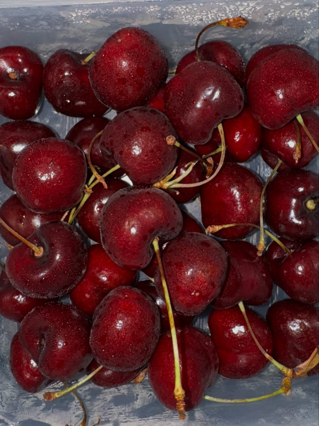 คิมมี่ - คิมเบอร์ลี่ แอน โวลเทมัส