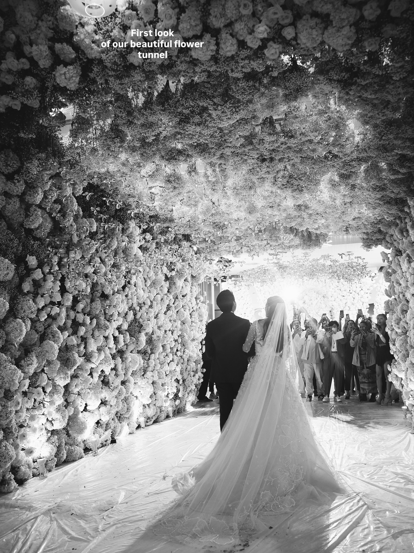 คิมมี่ - คิมเบอร์ลี่ แอน โวลเทมัส