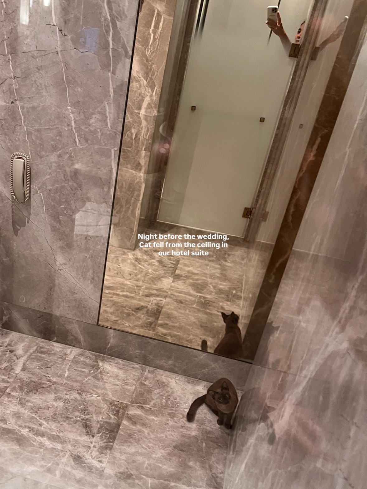 คิมมี่ - คิมเบอร์ลี่ แอน โวลเทมัส