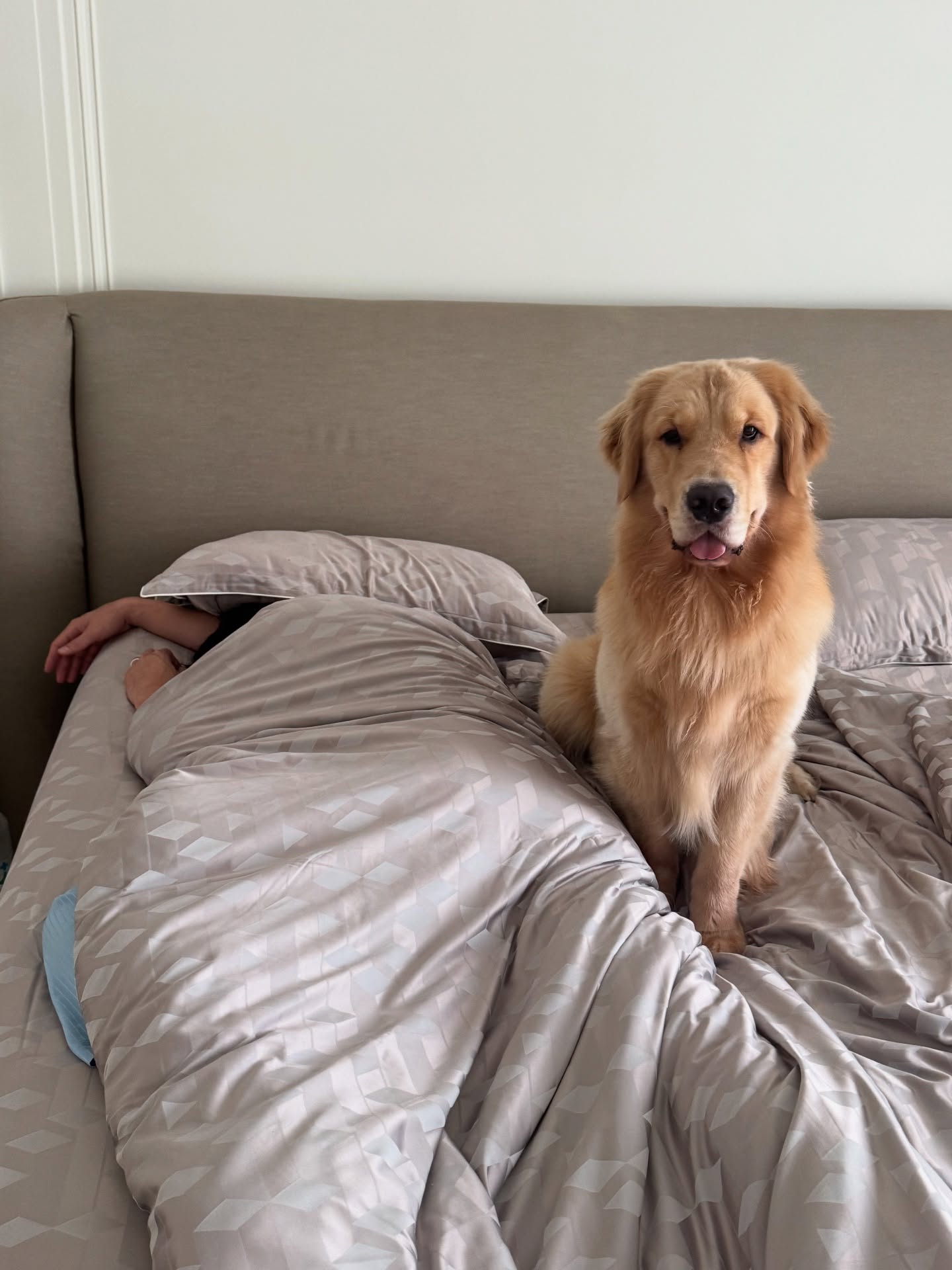 คิมมี่ - คิมเบอร์ลี่ แอน โวลเทมัส