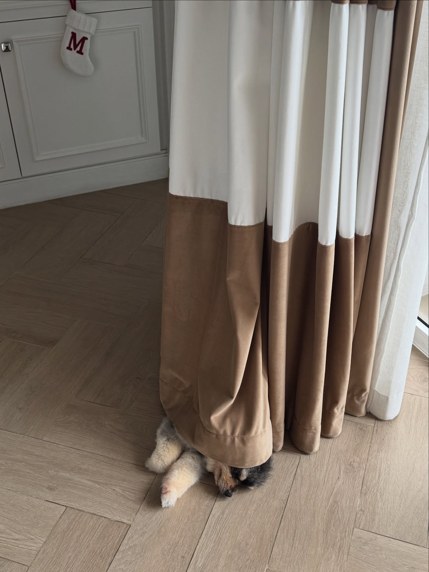 คิมมี่ - คิมเบอร์ลี่ แอน โวลเทมัส