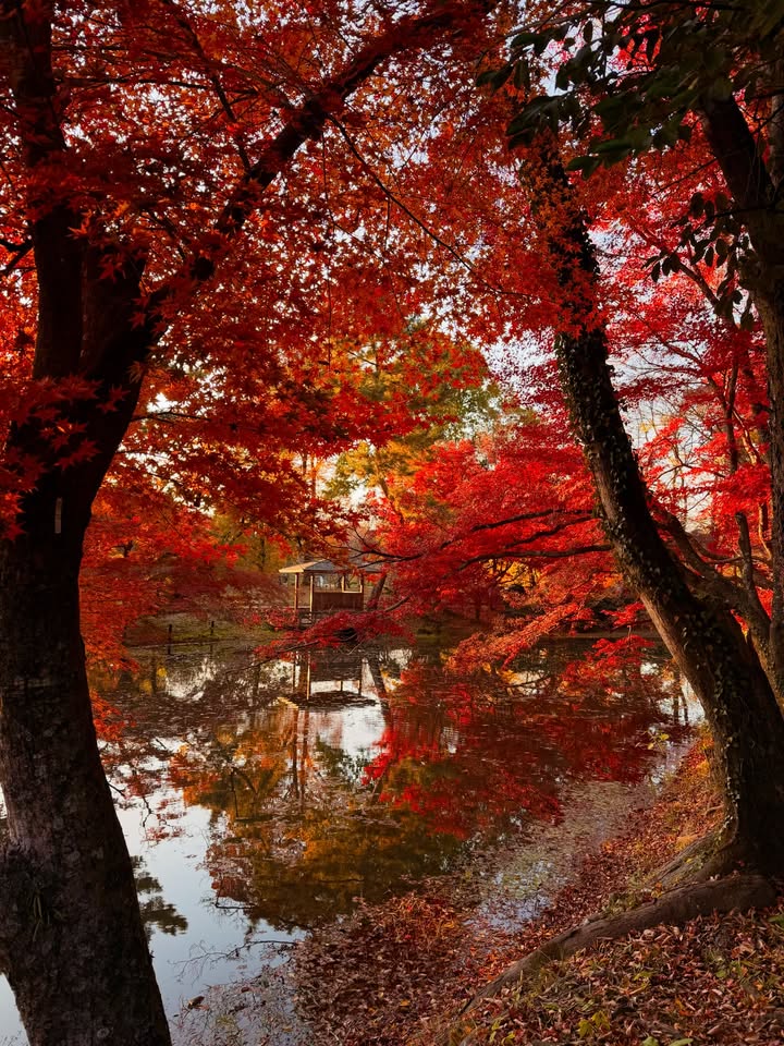 คิมมี่ - คิมเบอร์ลี่ แอน โวลเทมัส