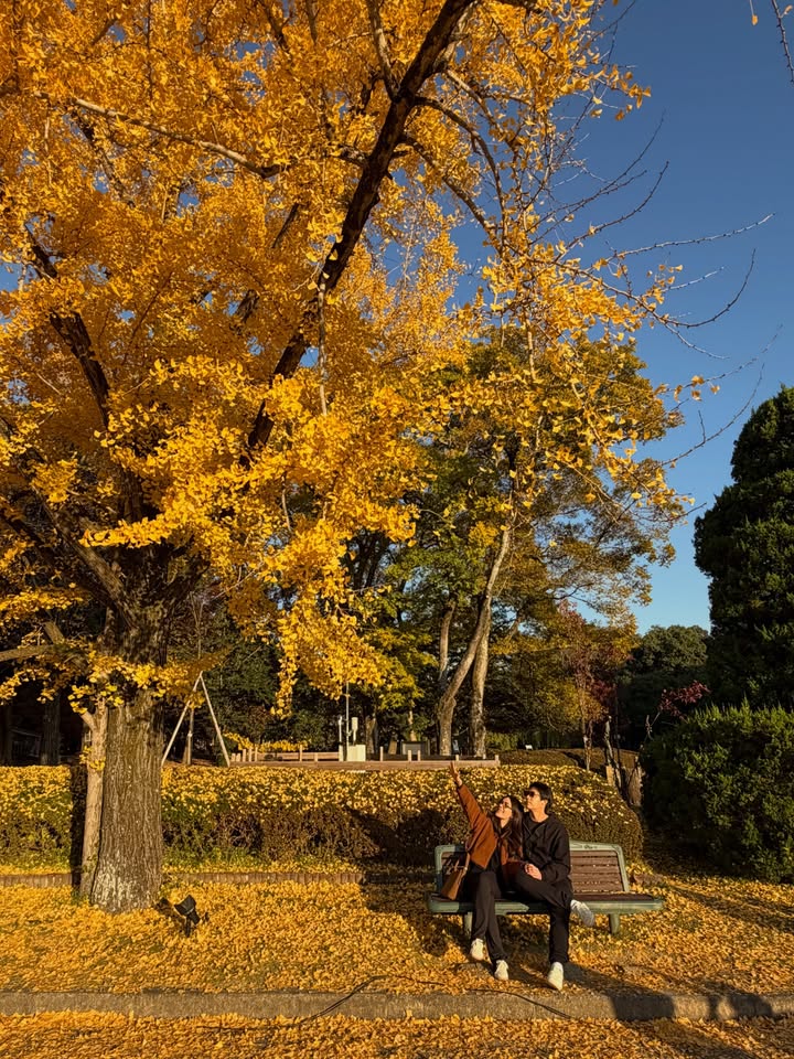 คิมมี่ - คิมเบอร์ลี่ แอน โวลเทมัส