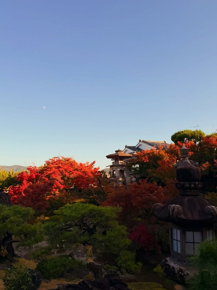 คิมมี่ - คิมเบอร์ลี่ แอน โวลเทมัส